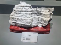 -湖南省地质博物馆