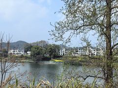 -婺源月亮湾