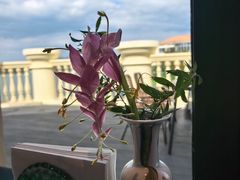 -江南雅厨(李公堤店)