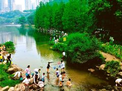 -重庆彩云湖湿地公园