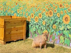 -正佳雨林生态植物园