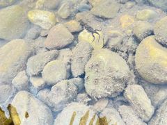 -野三坡清泉山风景区