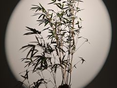 -武汉美术馆(汉口馆)