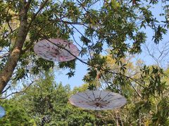 -人民公园(罗湖区)