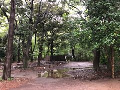 -三鹰之森吉卜力美术馆