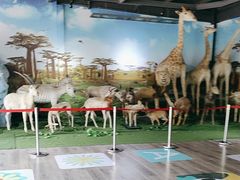 -西安秦岭野生动物园