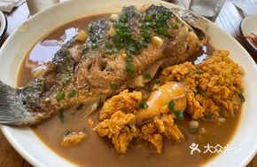 Wild Crucian Carp