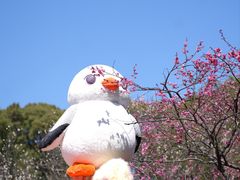 -无锡梅园公园