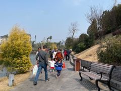 -枫香湖儿童公园