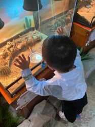 -酷嗒动物文化乐园(cutezoo西溪乐天城店)