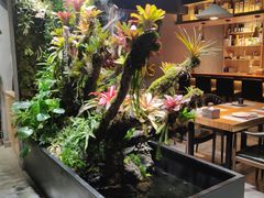 -森味薪火烧•烧鸟居酒屋•日本料理(望京店)