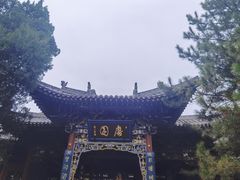-晋祠公园