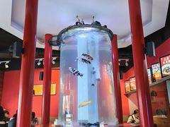 -秤砣砣·湖南粉面馆(青年路店)