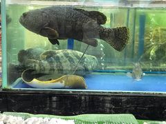 -东江海鲜酒家(艺都分店)