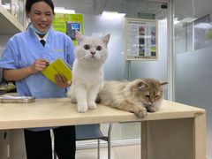 -广州仁爱天河医院体检中心