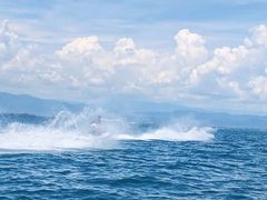 -东姑阿都拉曼海洋公园