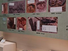 -辽宁古生物博物馆