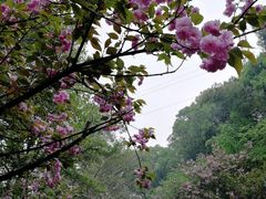 -石峰公园
