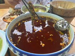 -青城甲(青城山店)