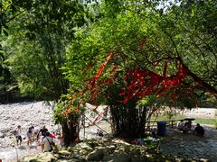 景点-紫云谷景区