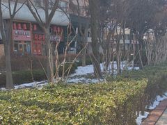 -闯关东东北农家菜(崂山石老人店)