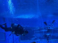 -北戴河圣蓝海洋公园