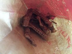 -廖记棒棒鸡(江汉路店)