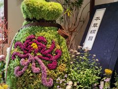 -杭州植物园