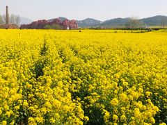 -西海岸生态观光园