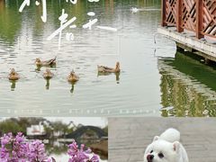 -木兰水镇旅游景区