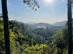 -田心森林公园
