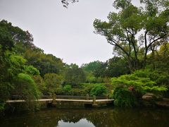 -汇龙潭