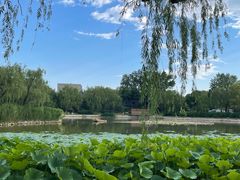 -三忘湖 SWANSEEN(柳荫公园店)