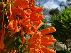 -广州市流溪河国家森林公园