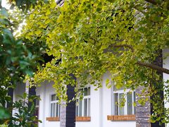 -黄海国家森林公园