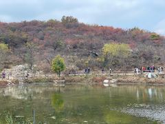 -周口店坡峰岭风景区