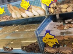 -韩记海鲜饺子旗舰店(红海新区店)