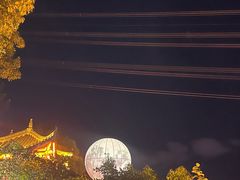 -巴倒烫陆派重庆火锅(南山店)