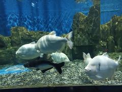 -石林冰雪海洋世界