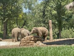 -北京野生动物园