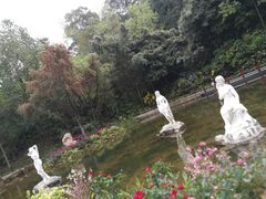 -深圳仙湖植物园