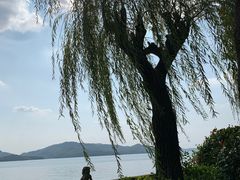 -天目湖山水园