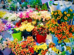 -循礼门鲜花花市(武汉循礼门店)