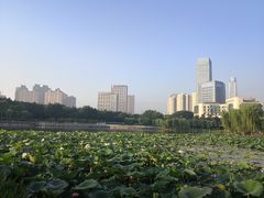 -后襄河公园