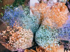 -循礼门鲜花花市(武汉循礼门店)