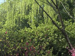 -扬州瘦西湖温泉
