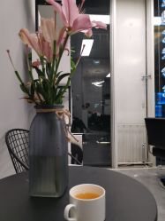 -T-Hair Salon