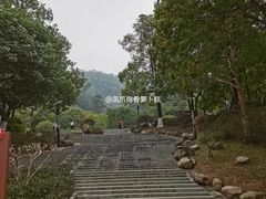 -火炉山森林公园