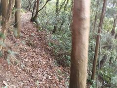 -北高峰