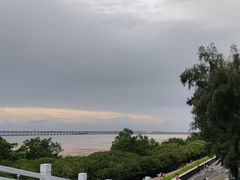 -宝安西湾红树林湿地公园